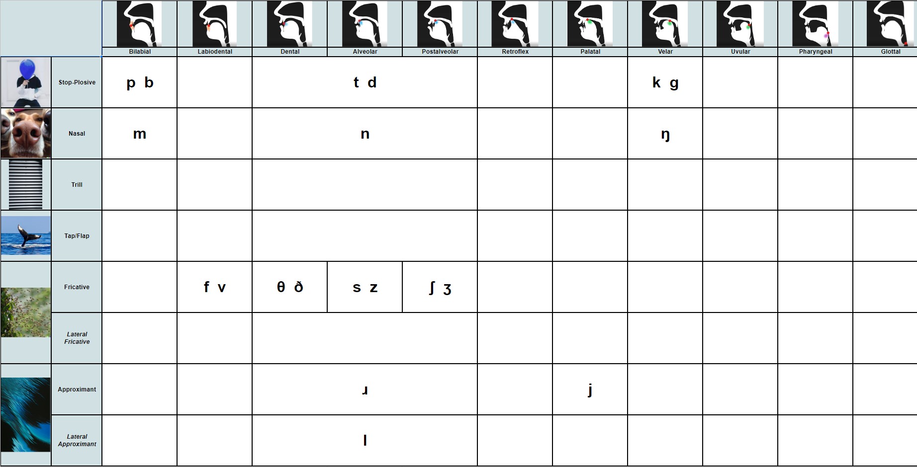 Graphic IPA pulmonic consonant chart